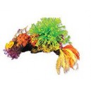 Mixed Corals - Large